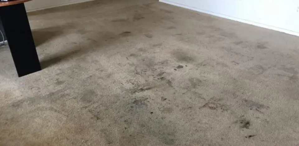 Carpet-before