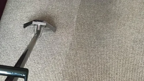 Area rug